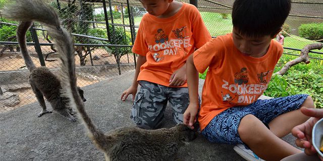 Zookeeper for a day kids package at casela park (1)